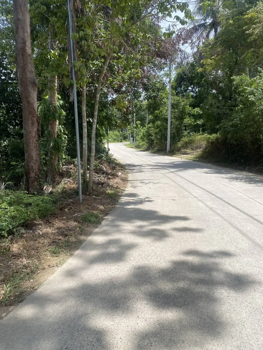 
    1 Rai of Freehold Land for Sale in Lamai, Ko Samui
  