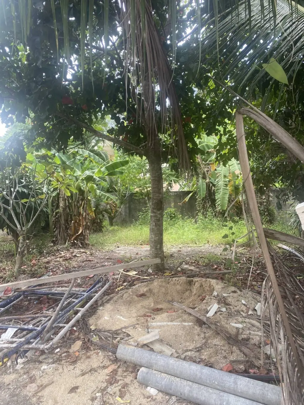 
    1260sqm of Affordable Land for Sale in Maenam, Ko Samui
  