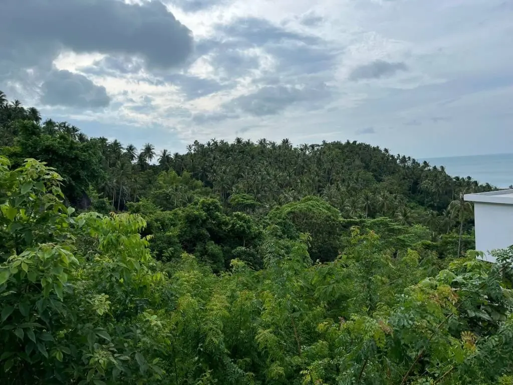 
    Affordable Scenic Freehold Land in Lamai, Ko Samui
  