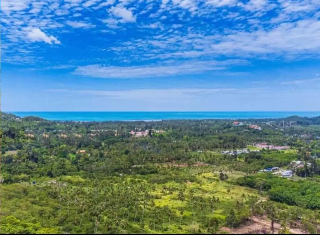 
    Affordable 1600sqm Freehold Land with Ocean View in Maenam, Ko Samui
  