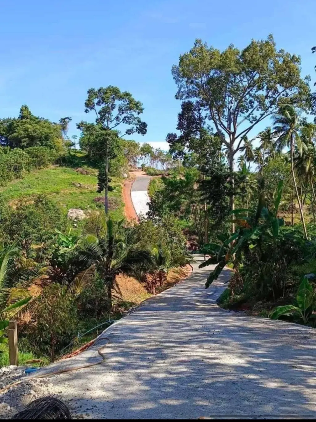 
    Affordable 1600sqm Freehold Land with Ocean View in Maenam, Ko Samui
  