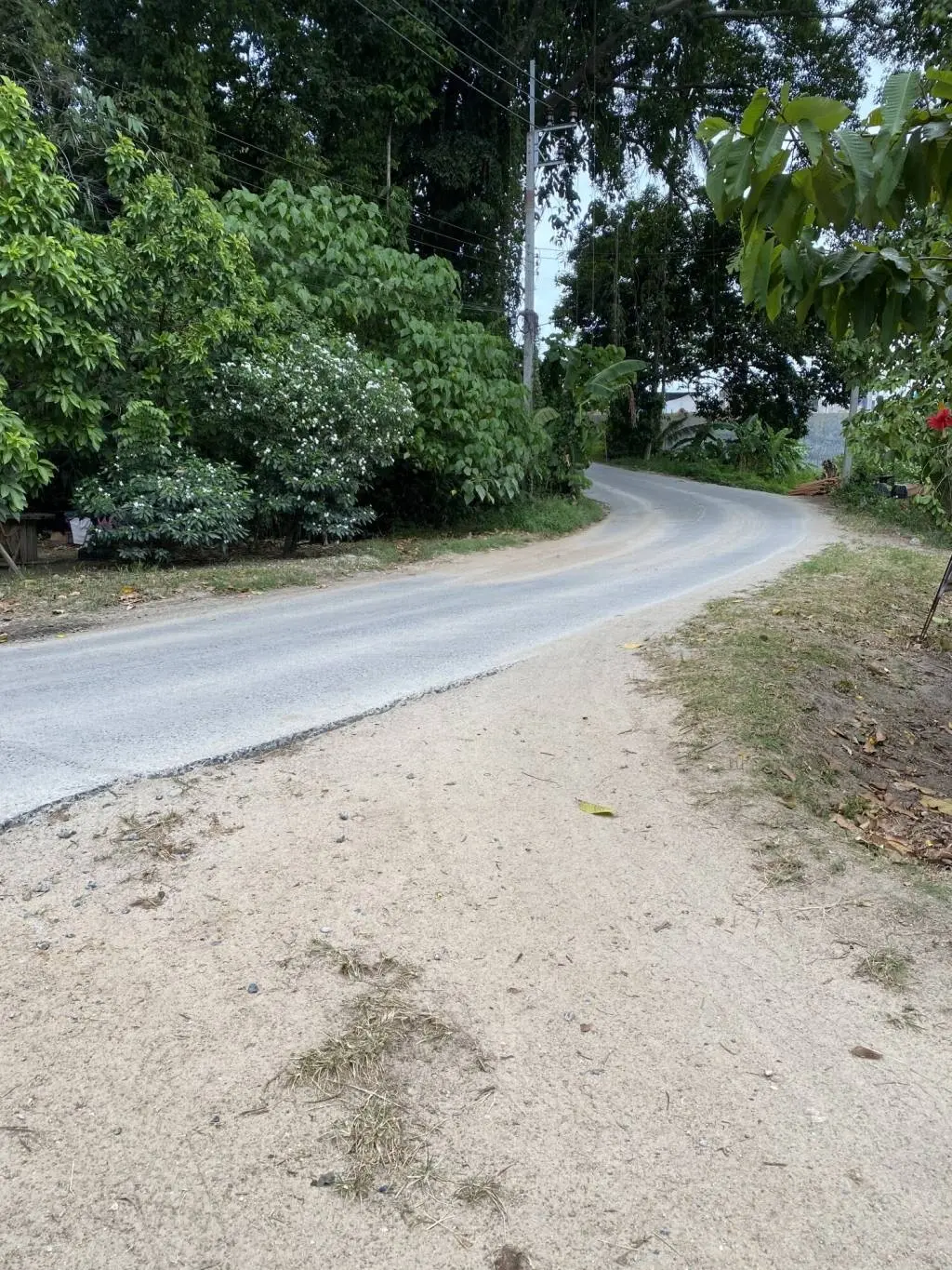 
    5 Rai of Freehold Land in Lamai, Ko Samui
  