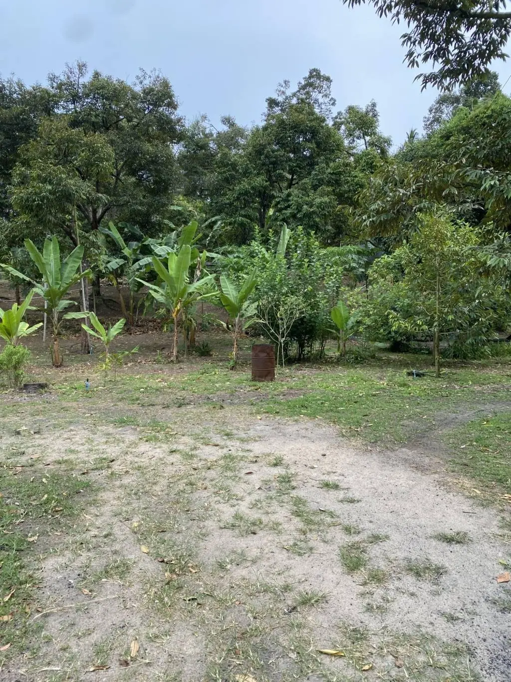 
    5 Rai of Freehold Land in Lamai, Ko Samui
  