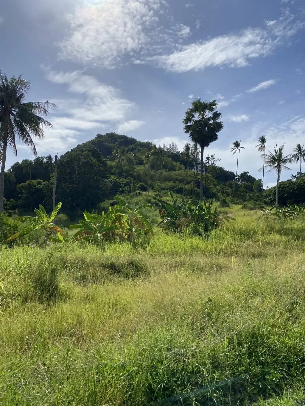 
    2180 Sqm Of Prime Location Land for Sale in Lamai, Ko Samui
  