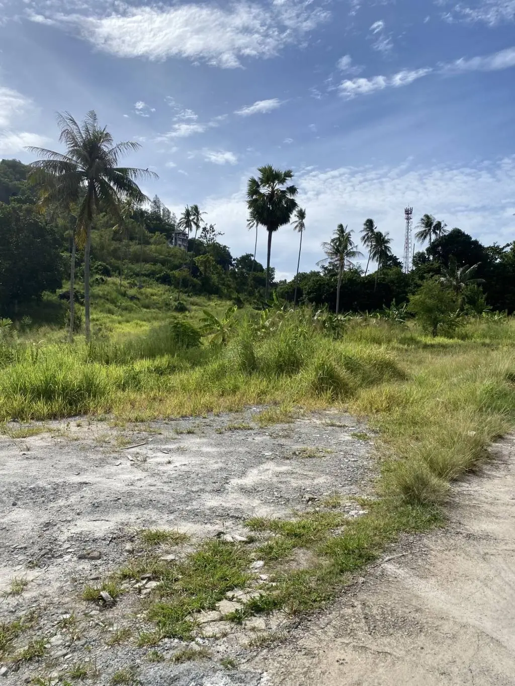 
    2180 Sqm Of Prime Location Land for Sale in Lamai, Ko Samui
  