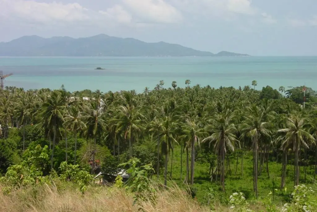 ที่ดินทำเลดีสำหรับพัฒนา! แปลงที่ดินโซนสีเขียวในบ่อผุด