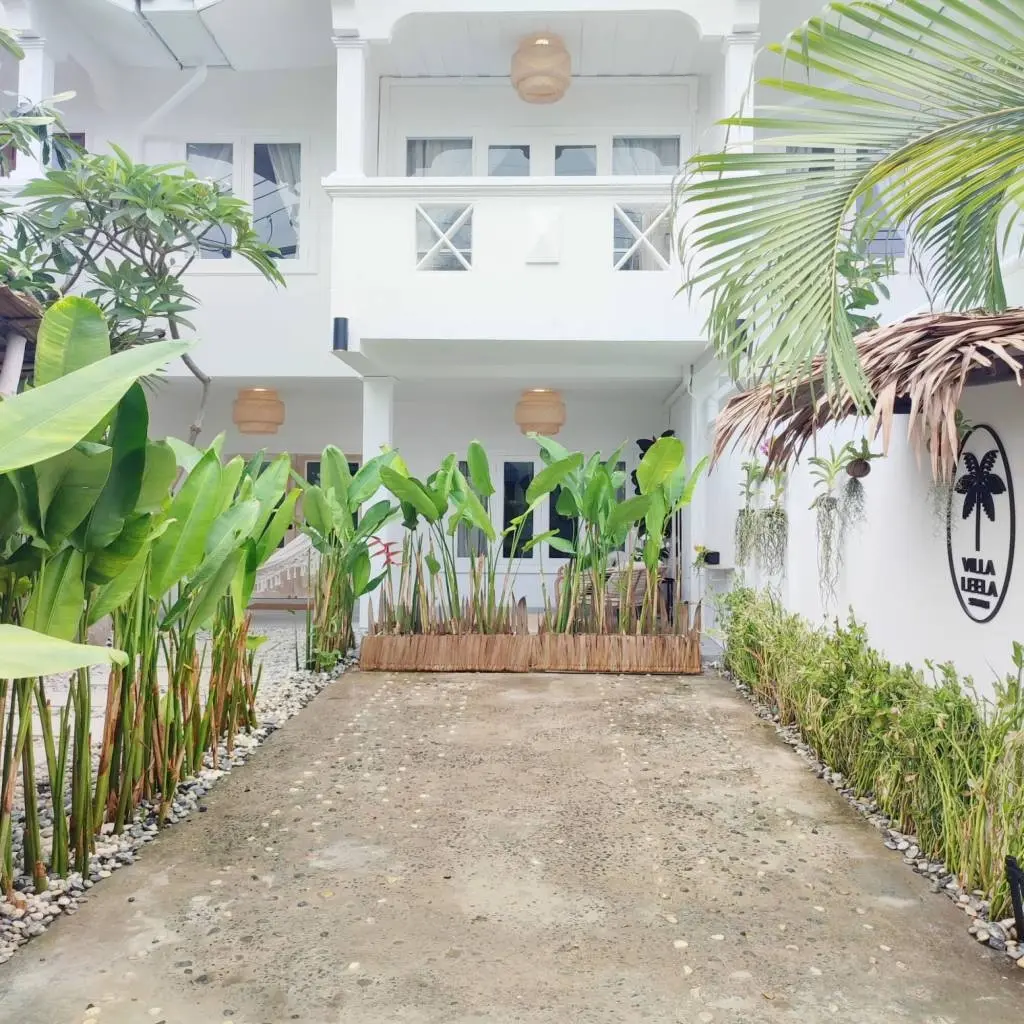 
    Investment Opportunity: 4-Rental Units in Bang Rak, Koh Samui
  