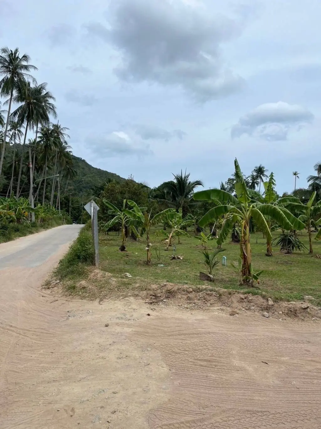 
    5 Rai of Premium Freehold Land in Lamai, Ko Samui,
  