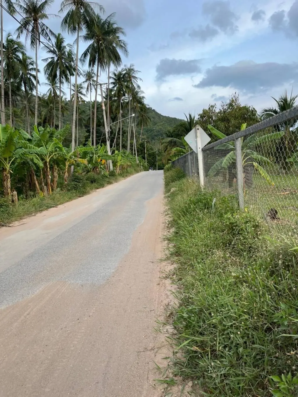 
    5 Rai of Premium Freehold Land in Lamai, Ko Samui,
  