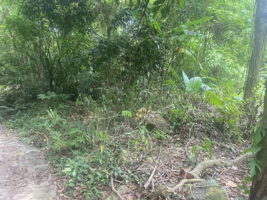 
    11 rai of Premium Land for Sale in Maret Koh Samui
  