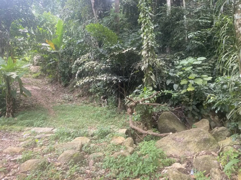 
    11 rai of Premium Land for Sale in Maret Koh Samui
  