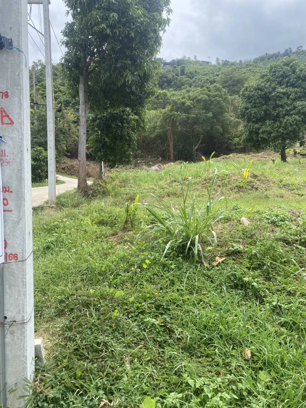 
    5.5 Rai of Prime Land for Sale in Lamai Ko Samui With stunning Mountain Views
  