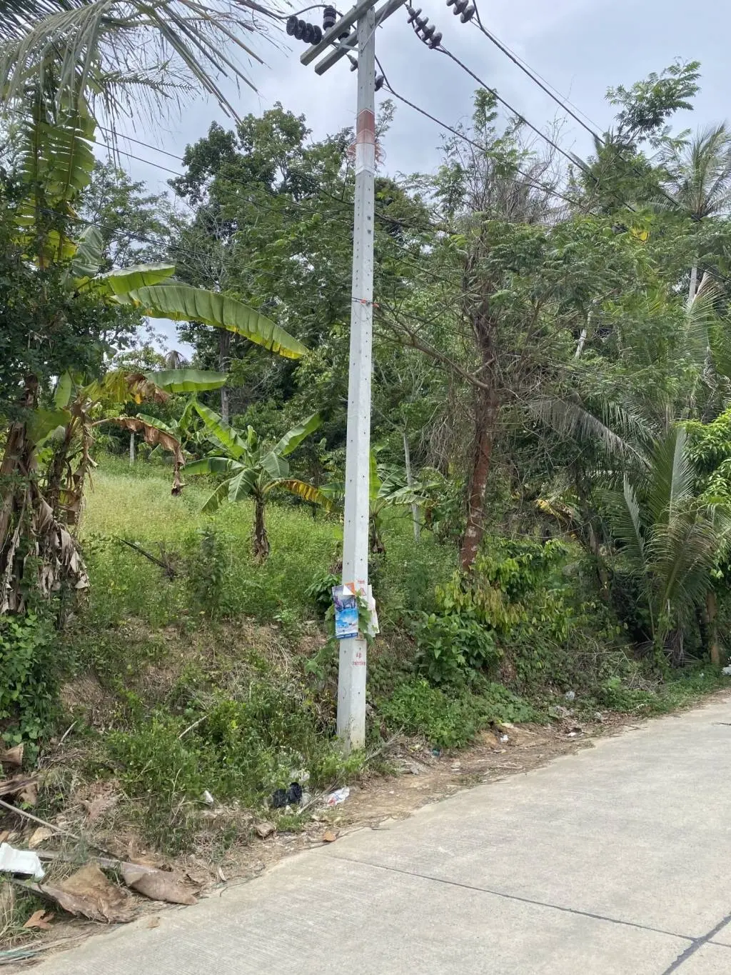 
    Development Opportunity: 2 Rai Of Freehold Land in Lamai Ko Samui
  