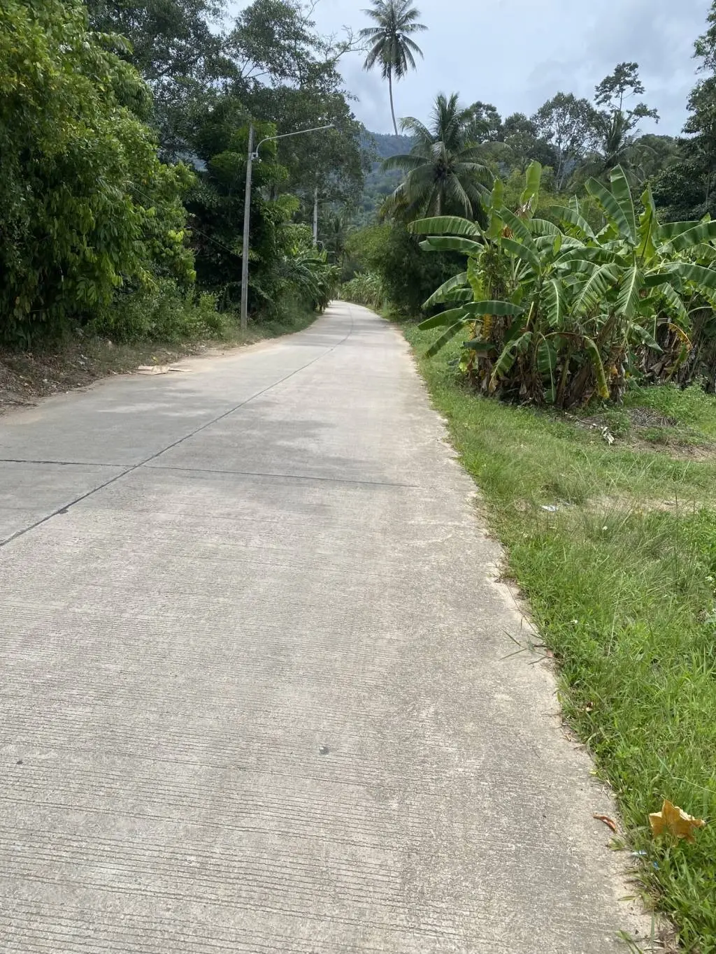 โอกาสการพัฒนา: ที่ดินฟรีโฮล 2 ไรในละไม โค สมุย