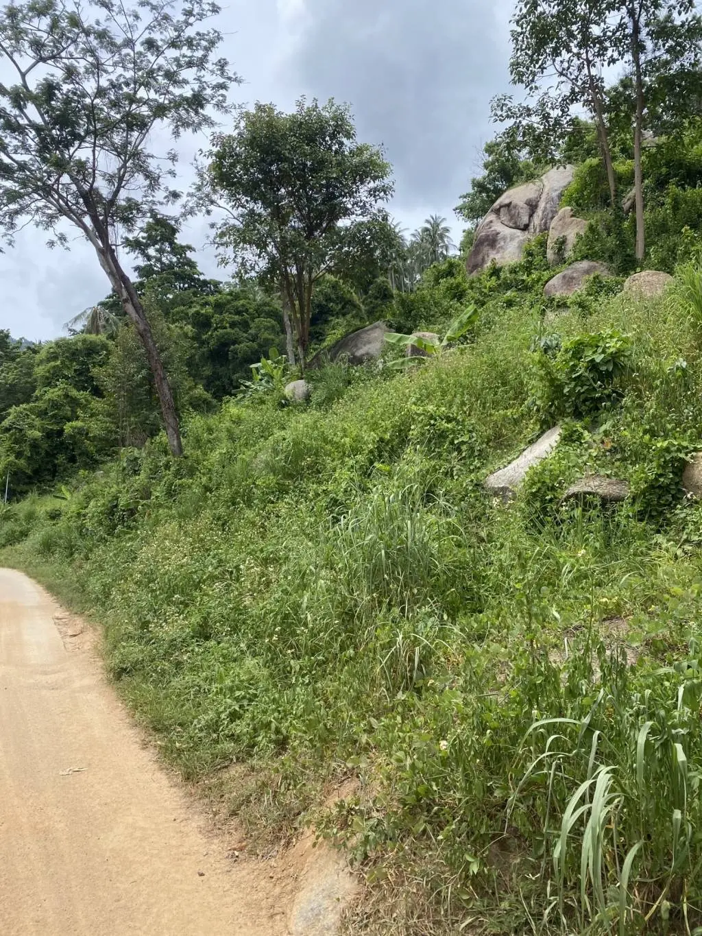 
    9 Rai of Prime Freehold Land in Lamai Koh Samui
  