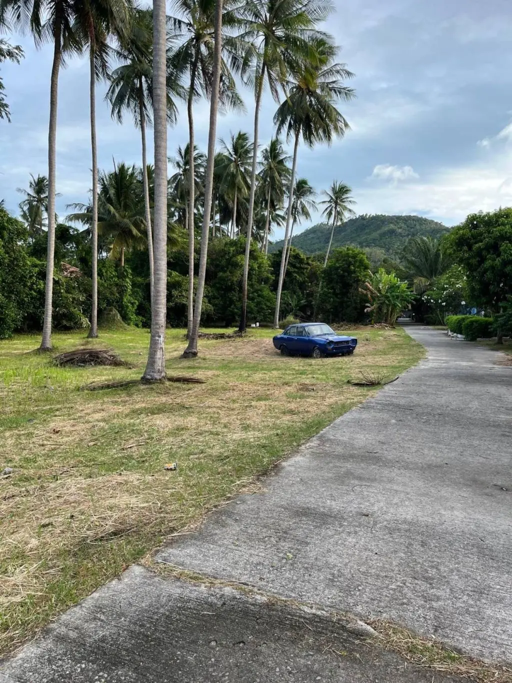 
    Prime Spacious Freehold Land in Lamai Ko Samui Surat Thani
  