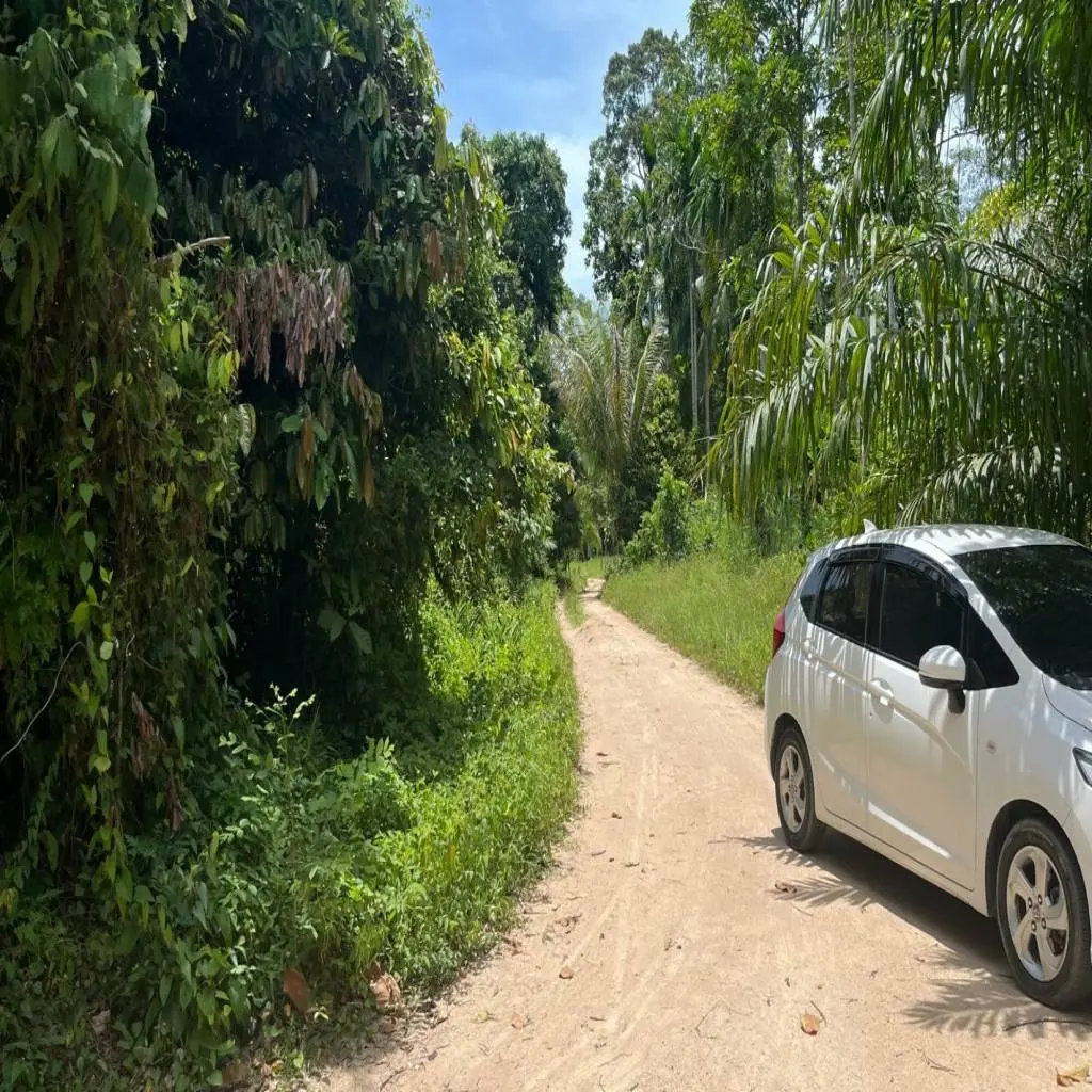 ที่ดินฟรีโฮลพรีเมียม 5 ไร่ สำหรับขายในตาลิงงาม เกาะสมุย