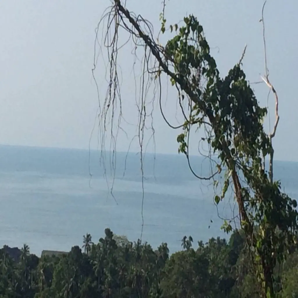 
    Stunning Freehold Land with Ocean View in Maret Ko Samui
  