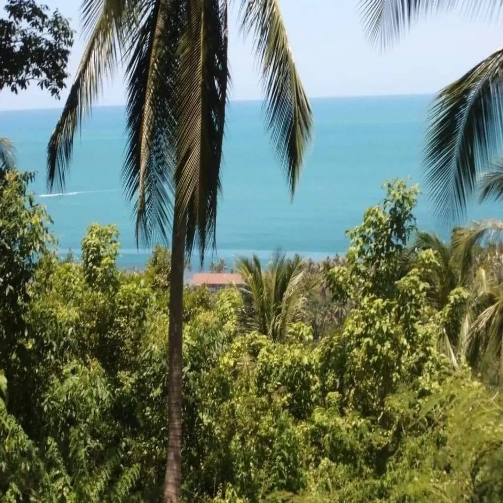 
    Stunning Freehold Land with Ocean View in Maret Ko Samui
  