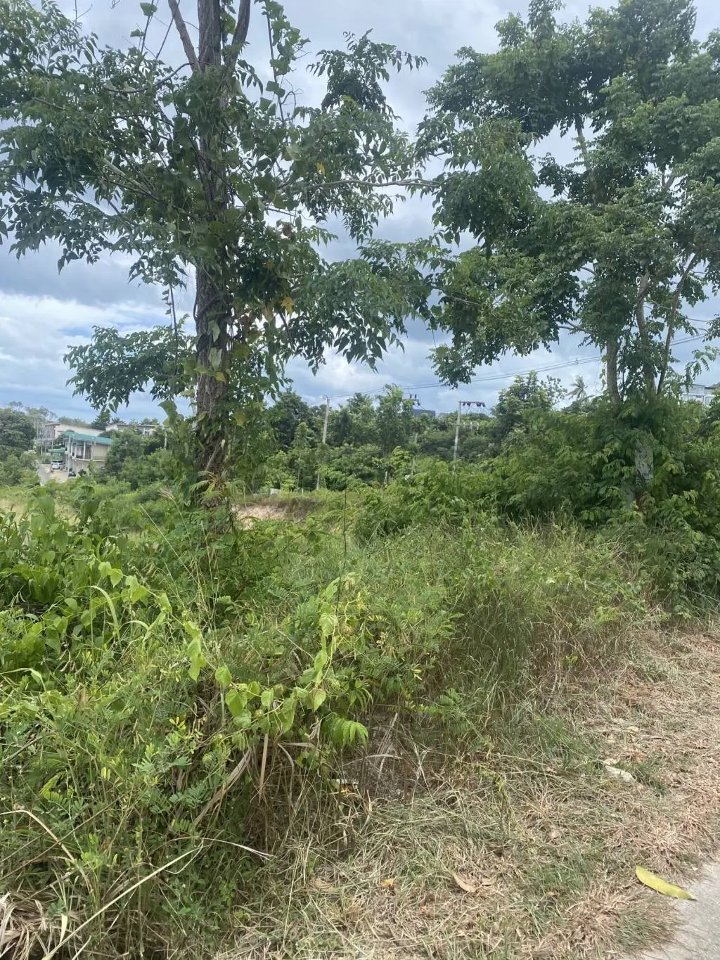 
    20 Rai Prime Freehold Land for Sale in Plai Laem
  