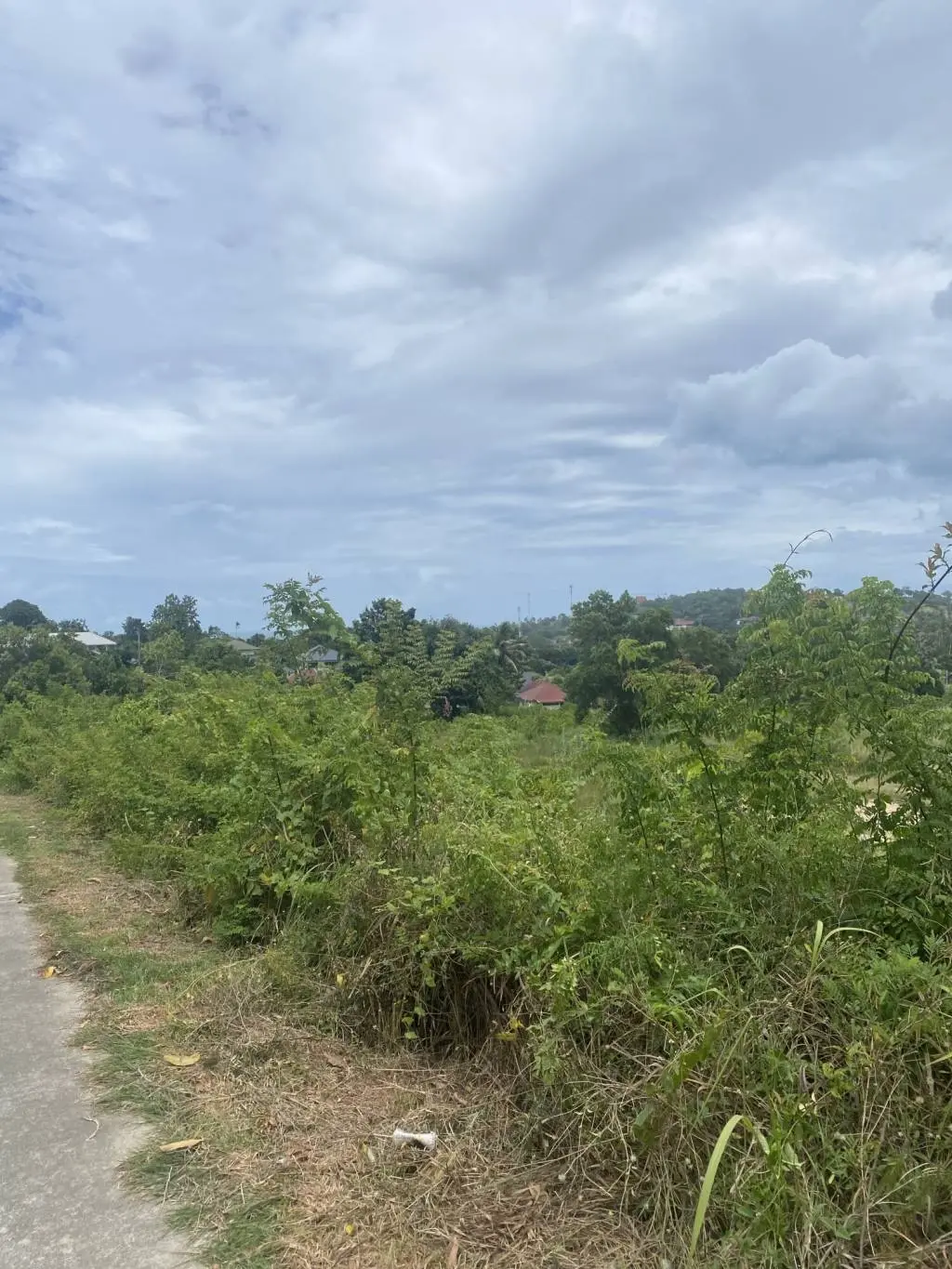 
    20 Rai Prime Freehold Land for Sale in Plai Laem
  