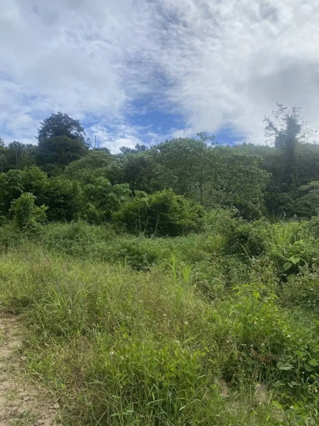 
    3 Rai of Freehold Land in Lamai, Ko Samui
  