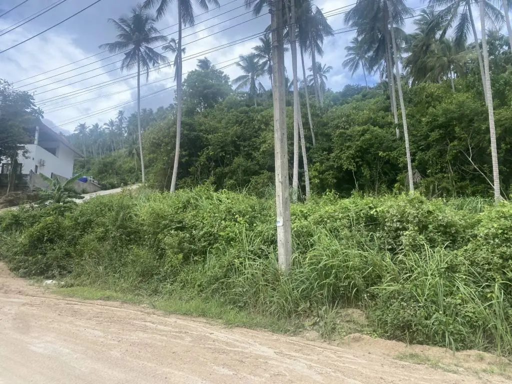 
    1100sqm of Affordable Freehold Land in Scenic Lamai
  