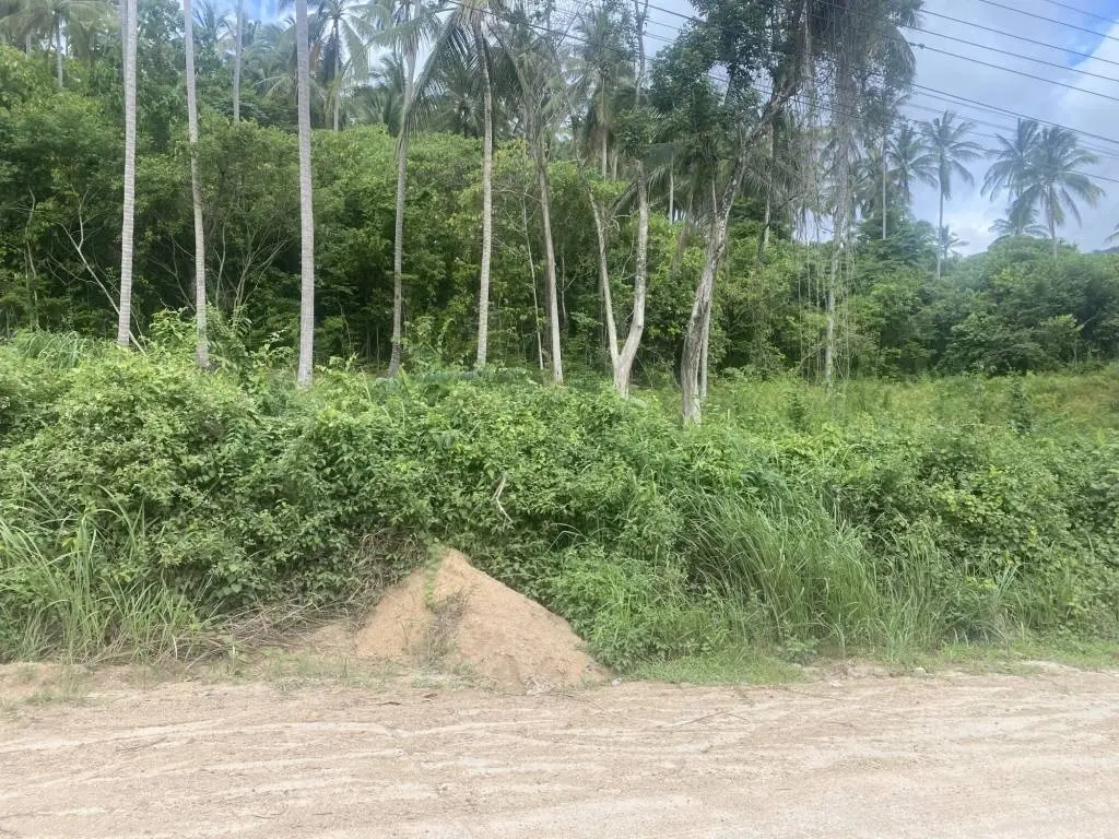 
    1100sqm of Affordable Freehold Land in Scenic Lamai
  