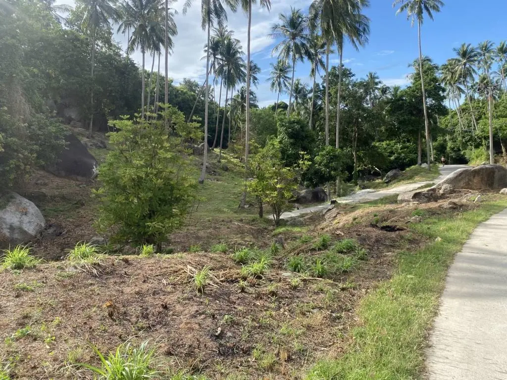 
    9 Rai of Scenic Freehold Land in Lamai Ko Samui for Sale
  