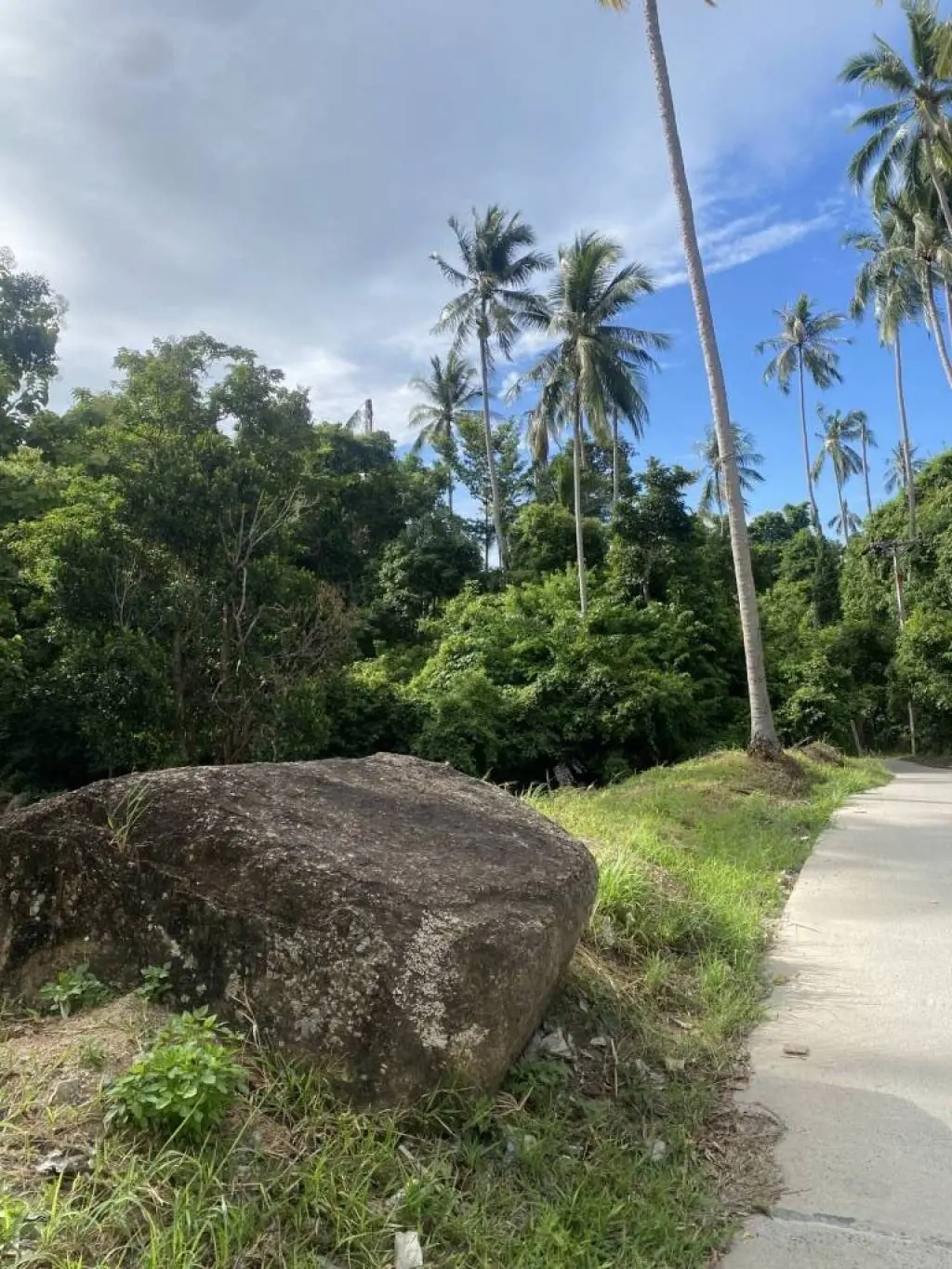 
    9 Rai of Scenic Freehold Land in Lamai Ko Samui for Sale
  