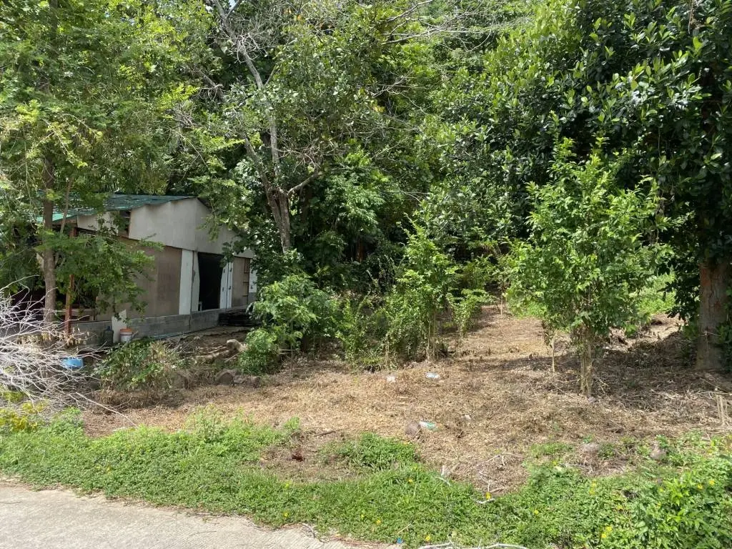 
    1600sqm Freehold Land for Sale in Maret Ko Samui
  