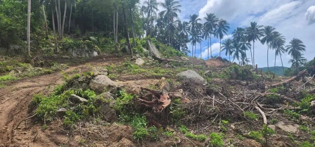 ขายที่ดินฟรีโฮลด์ทิวทัศน์ในมะเร็ต เกาะสมุย