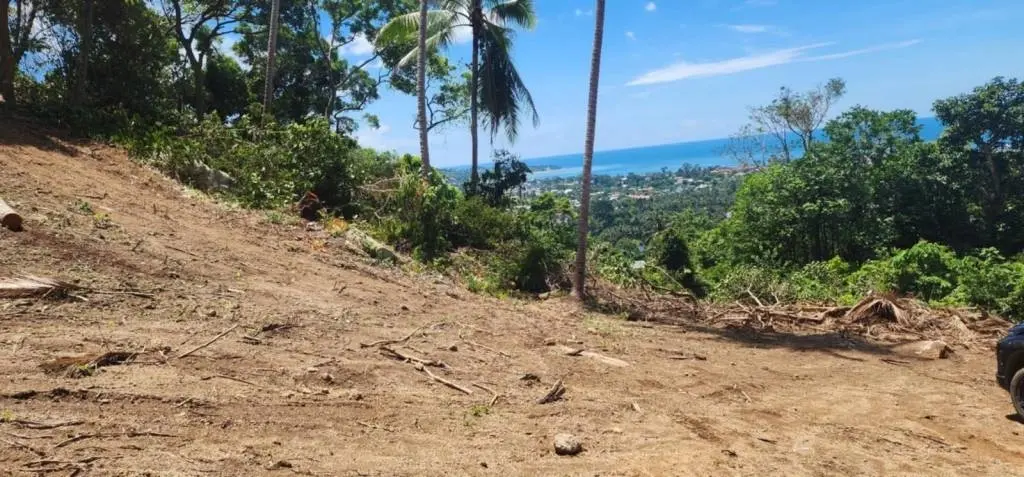 
    Scenic Freehold Land for Sale in Maret Ko Samui
  