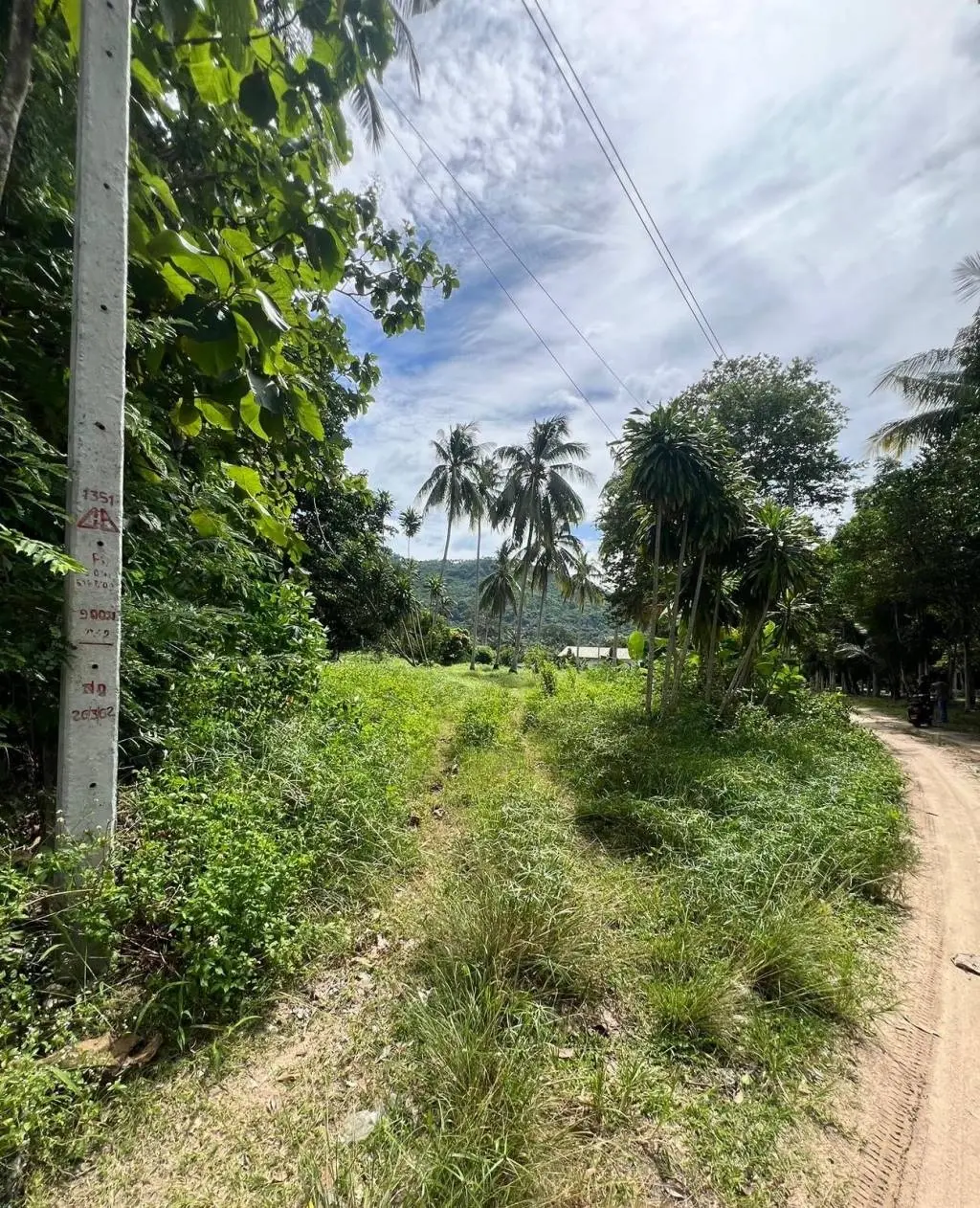 
    Lush 3200sqm Freehold Land in Maret Ko Samui
  