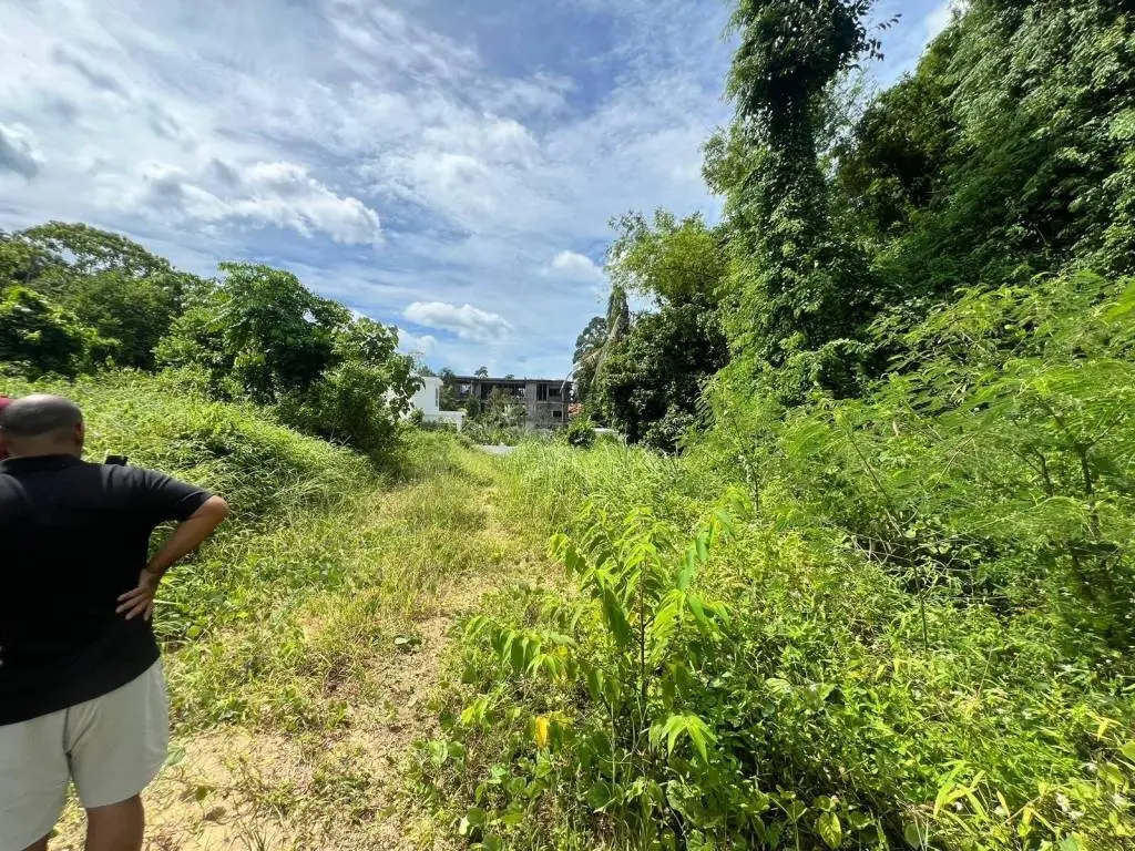 
    Secluded Land with Lush Greenery in Maret Ko Samui
  