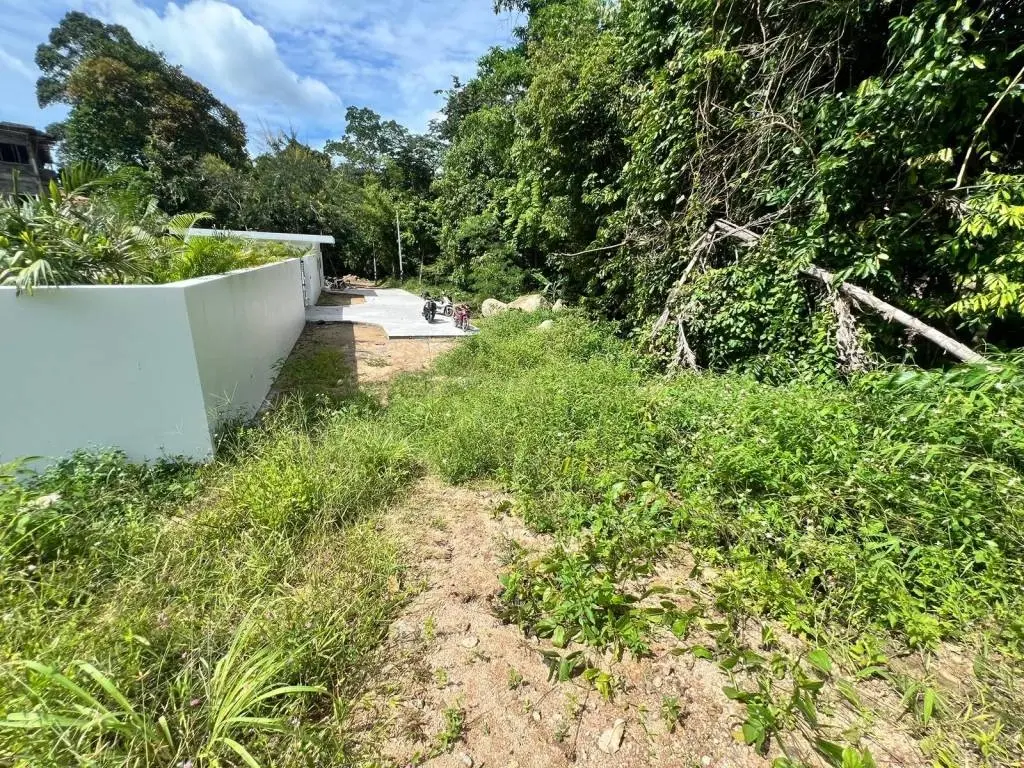 
    Secluded Land with Lush Greenery in Maret Ko Samui
  