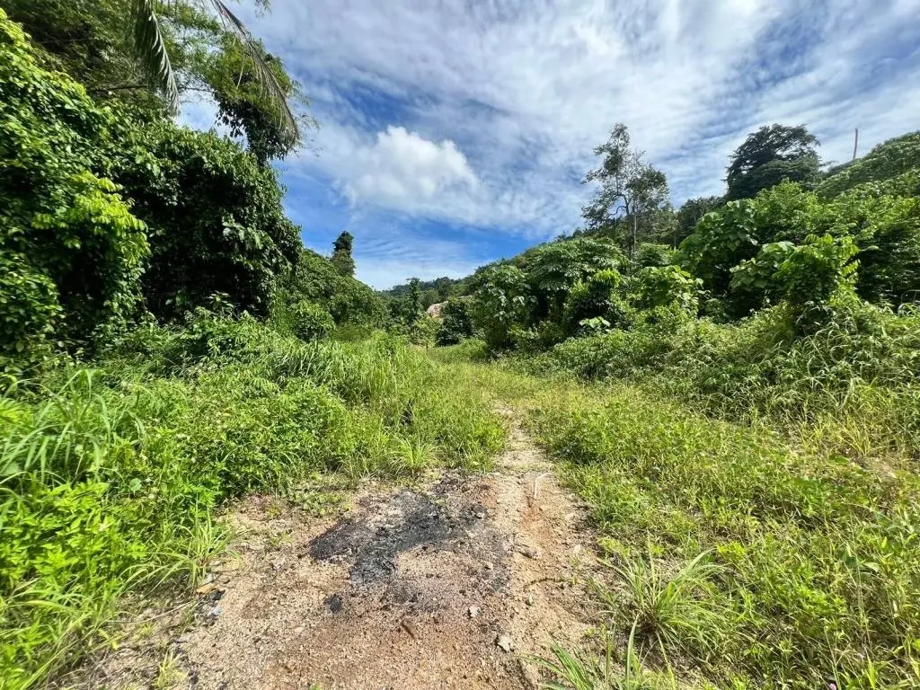 
    Secluded Land with Lush Greenery in Maret Ko Samui
  