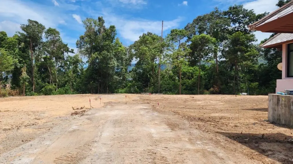 
    Prime Location Freehold Land for Sale in Bangrak
  