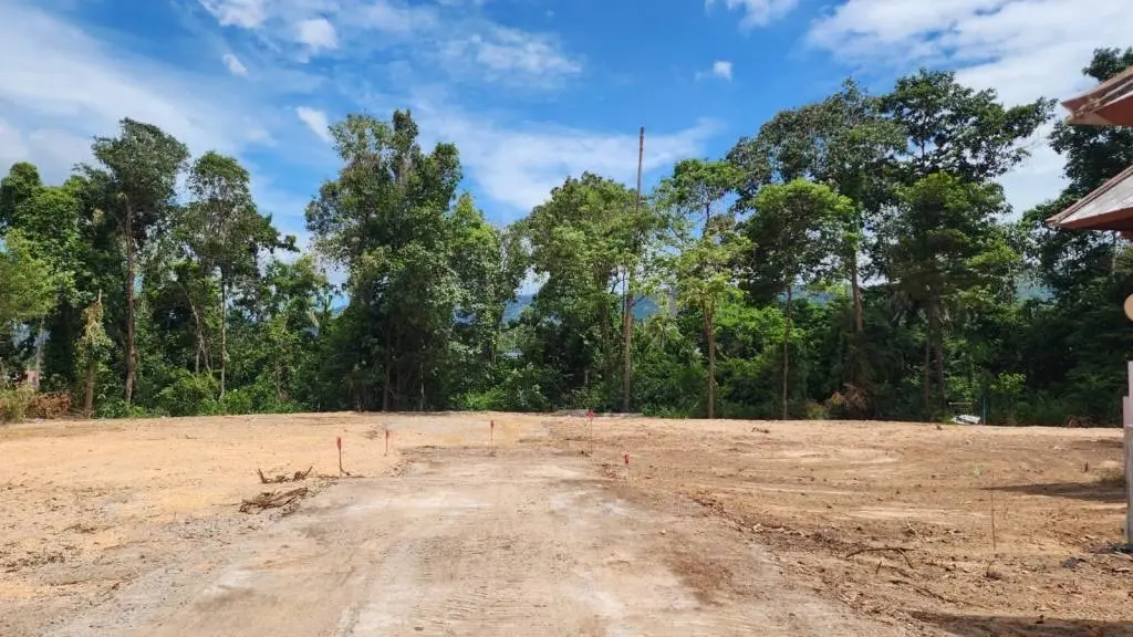 
    Prime Location Freehold Land for Sale in Bangrak
  