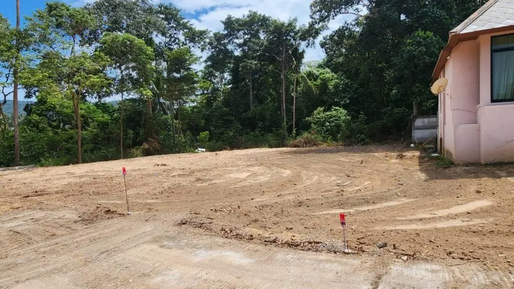 
    Prime Location Freehold Land for Sale in Bangrak
  