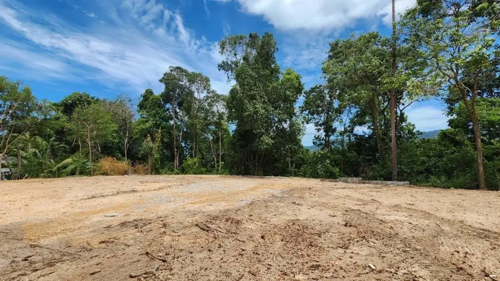 
    Prime Location Freehold Land for Sale in Bangrak
  