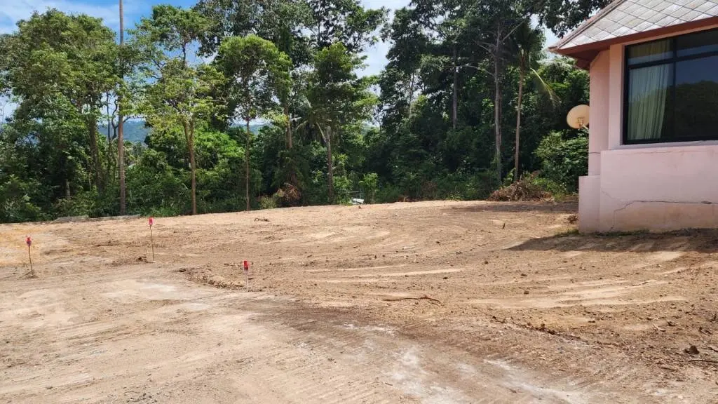 
    Prime Location Freehold Land for Sale in Bangrak
  