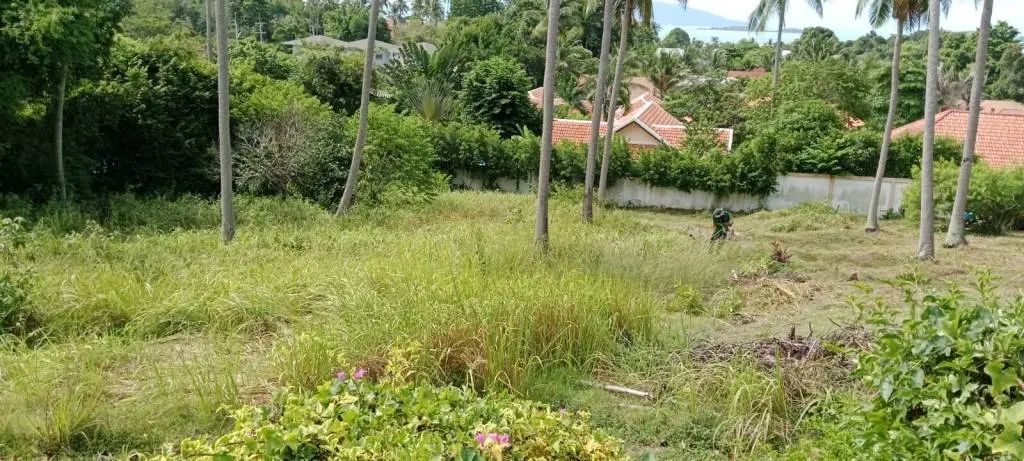 
    Land 1 Rai for sale in Bangrak, Ko Samui
  