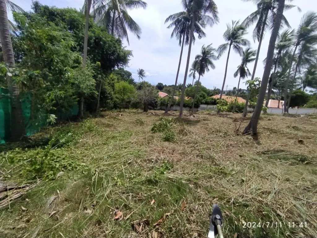 
    Land 1 Rai for sale in Bangrak, Ko Samui
  