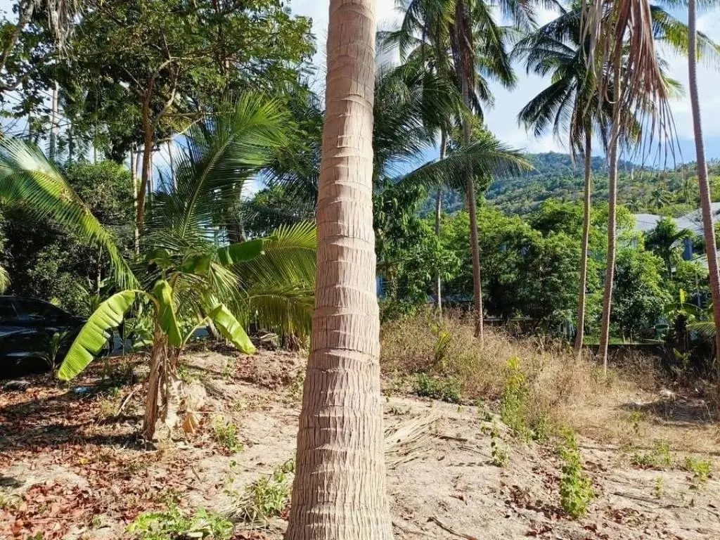 
    Land next to Santiburi golf course
  