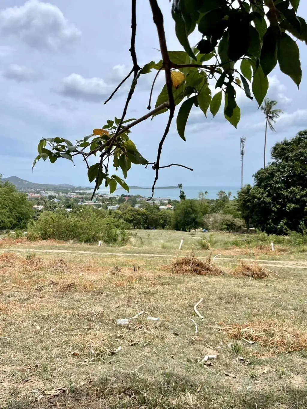 
    Seaview land in Chaweng Noi
  