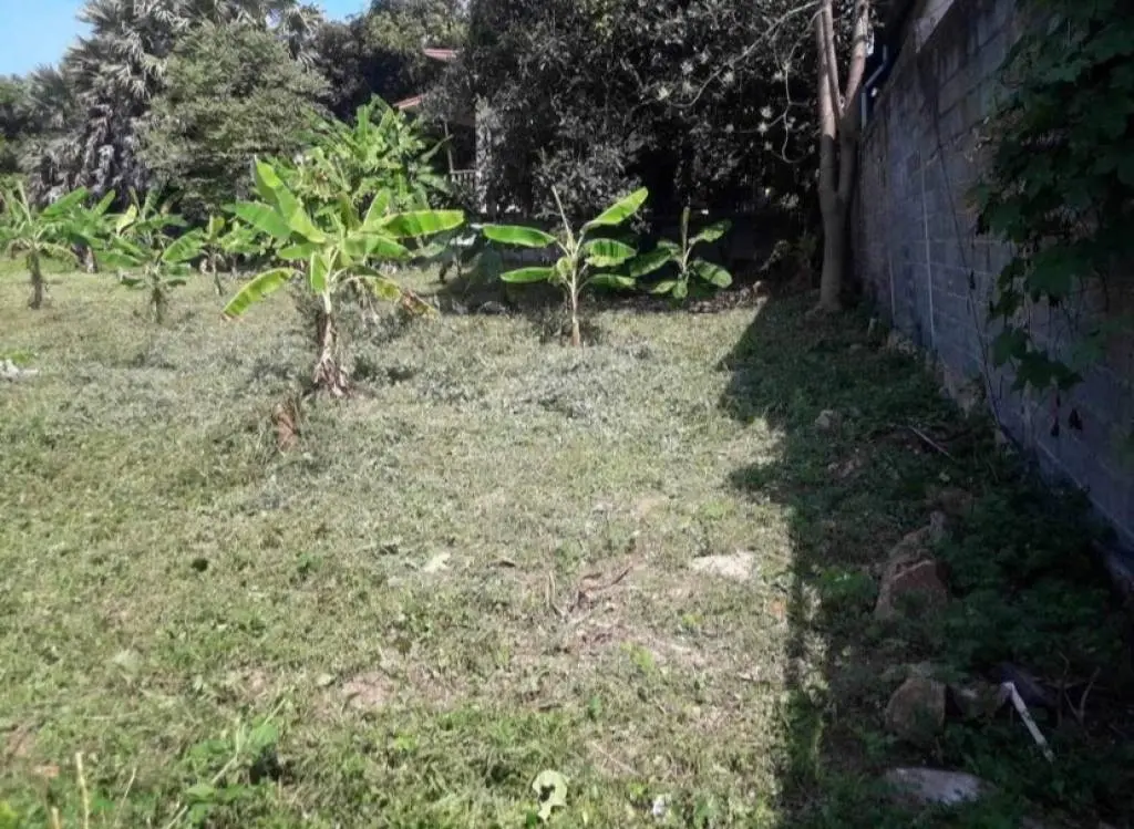 282sqm - Small land in choengmon - Great investment  