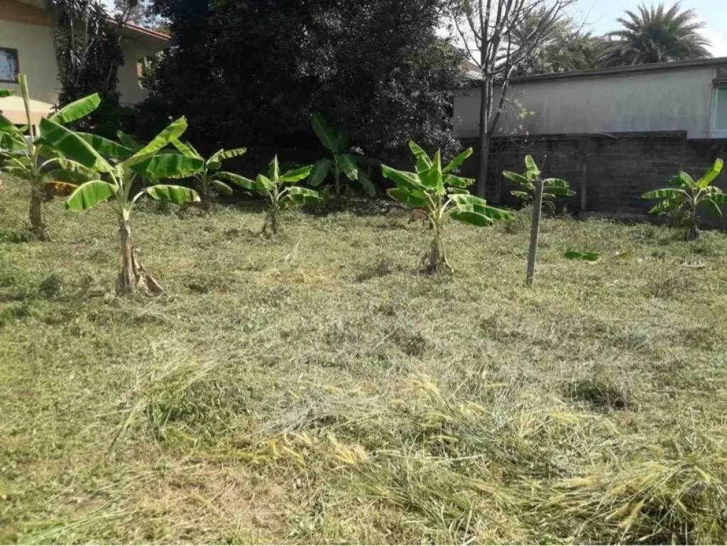 282sqm - Small land in choengmon - Great investment  