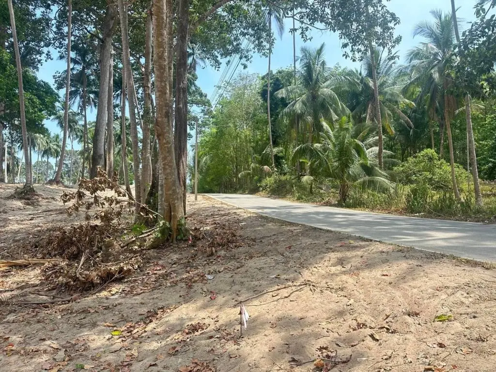 
    Maenam Soi 1 land for sale 800sqm-1200sqm
  