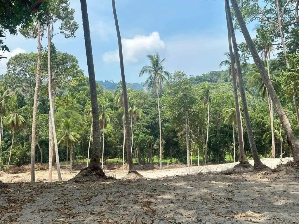 
    Maenam Soi 1 land for sale 800sqm-1200sqm
  